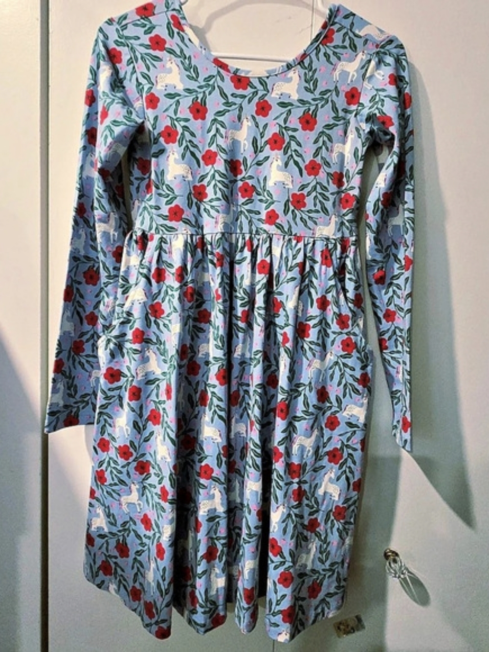 Hanna Andersson Long Sleeve Skater Dress Pockets Blue Unicorn Floral 150 US 12